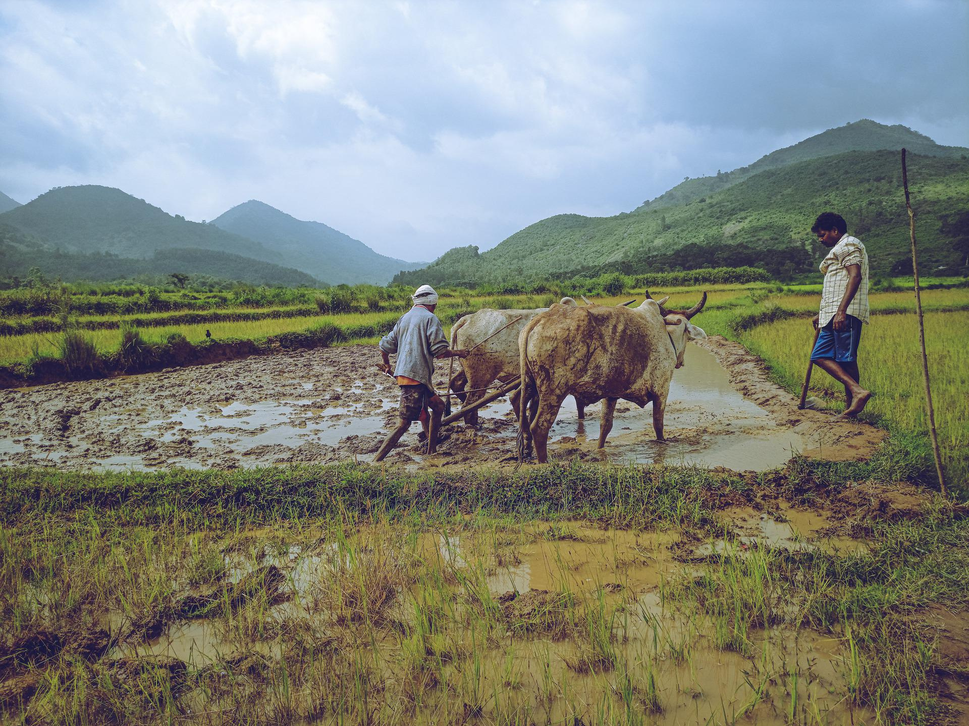 Onestop point to avail all farming issue.